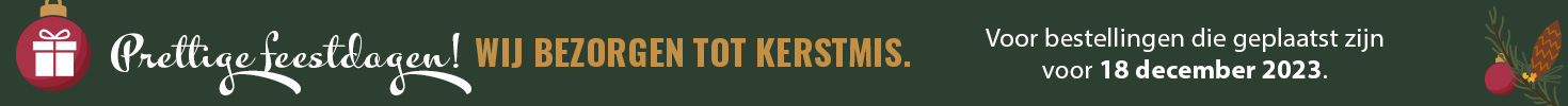 promo-banner