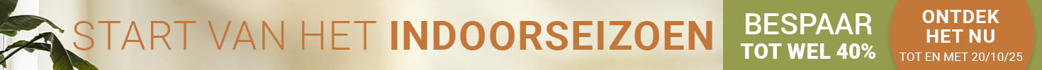 promo-banner