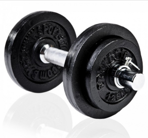 Taurus 10 kg dumbbell